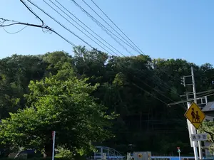 写真No.6