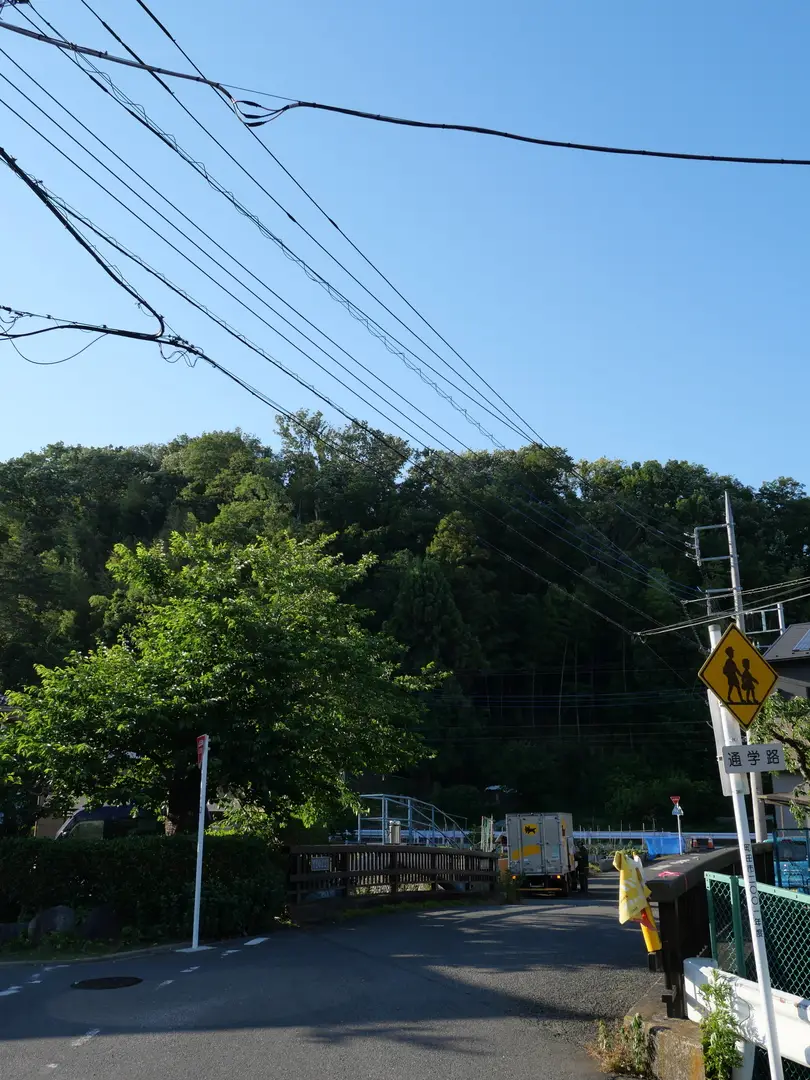 写真No.6