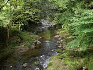 写真No.5