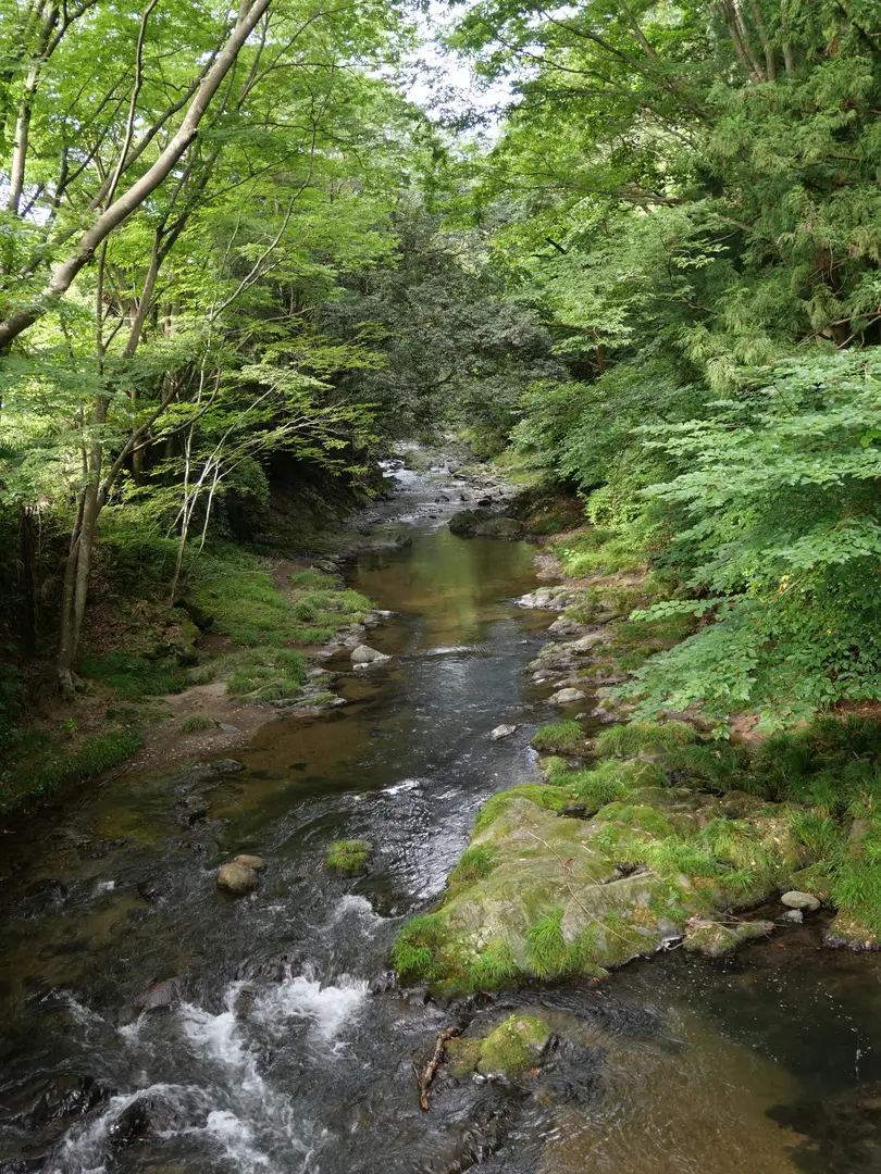 写真No.5