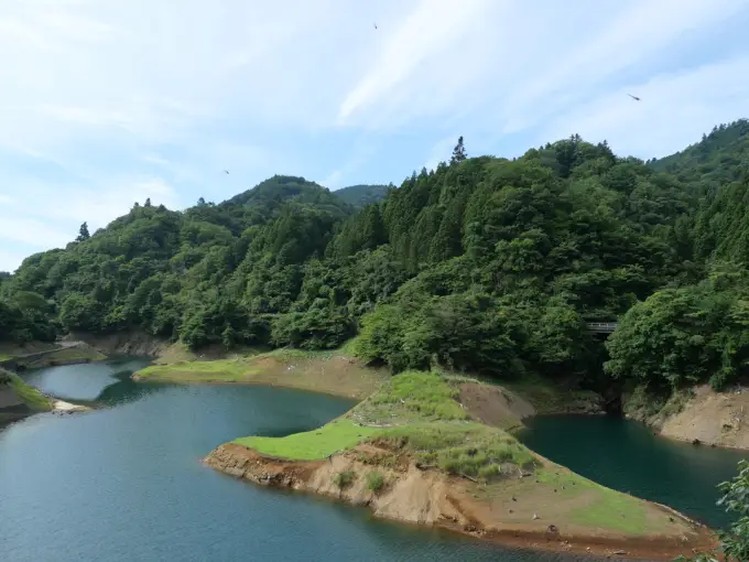 写真No.2