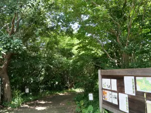写真No.5