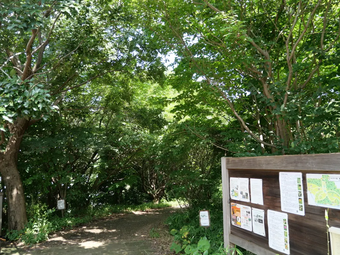 写真No.5