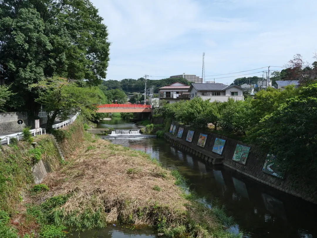 写真No.1
