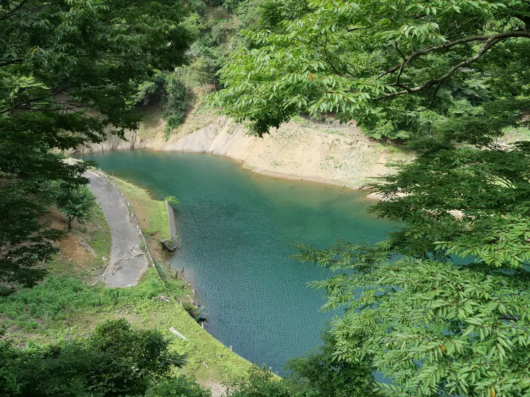 写真No.4