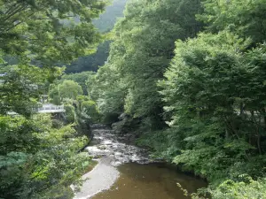 写真No.6