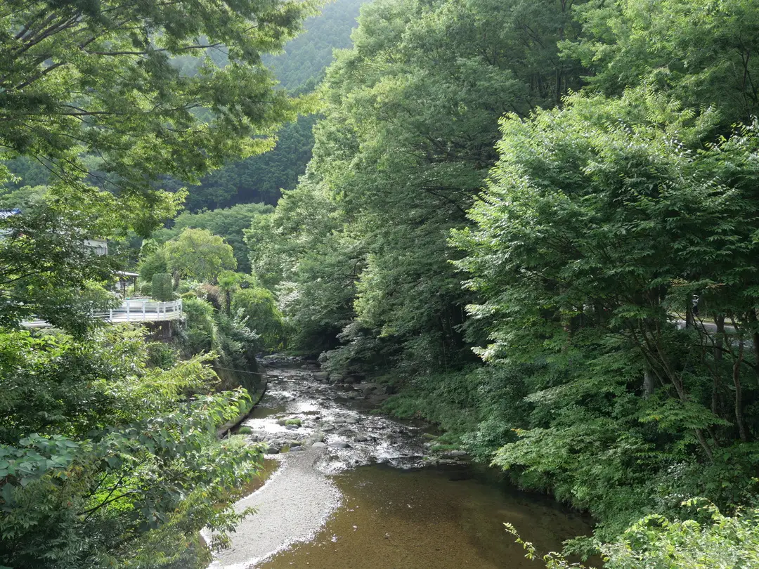 写真No.6