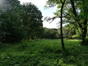 写真No.15