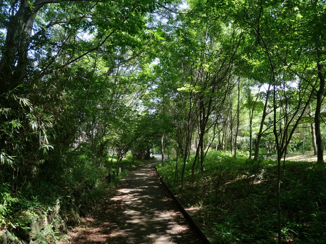 写真No.14