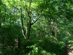 写真No.14