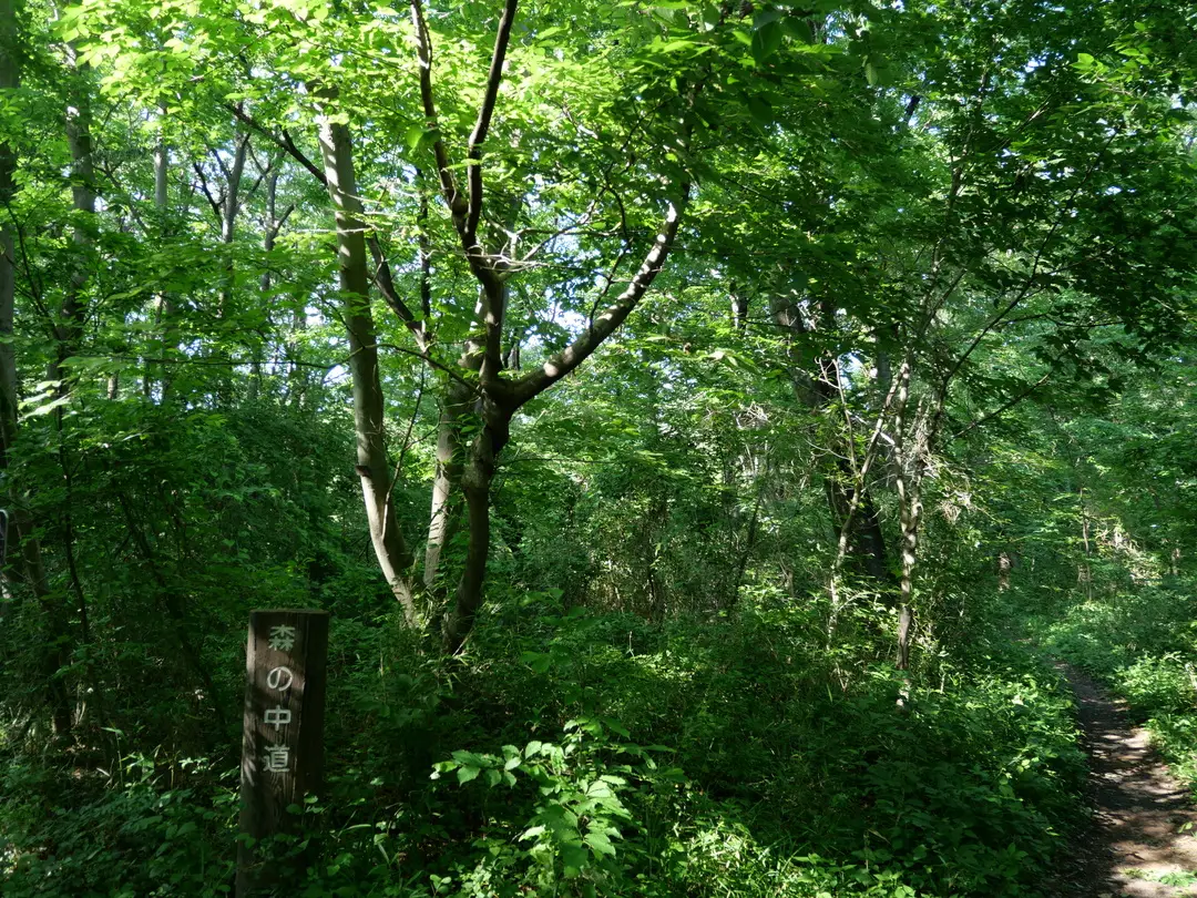 写真No.14