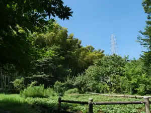写真No.1