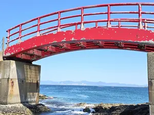写真No.1