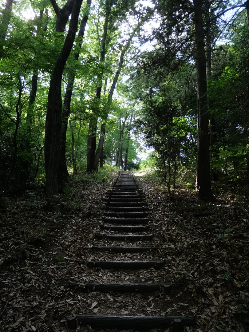 写真No.10