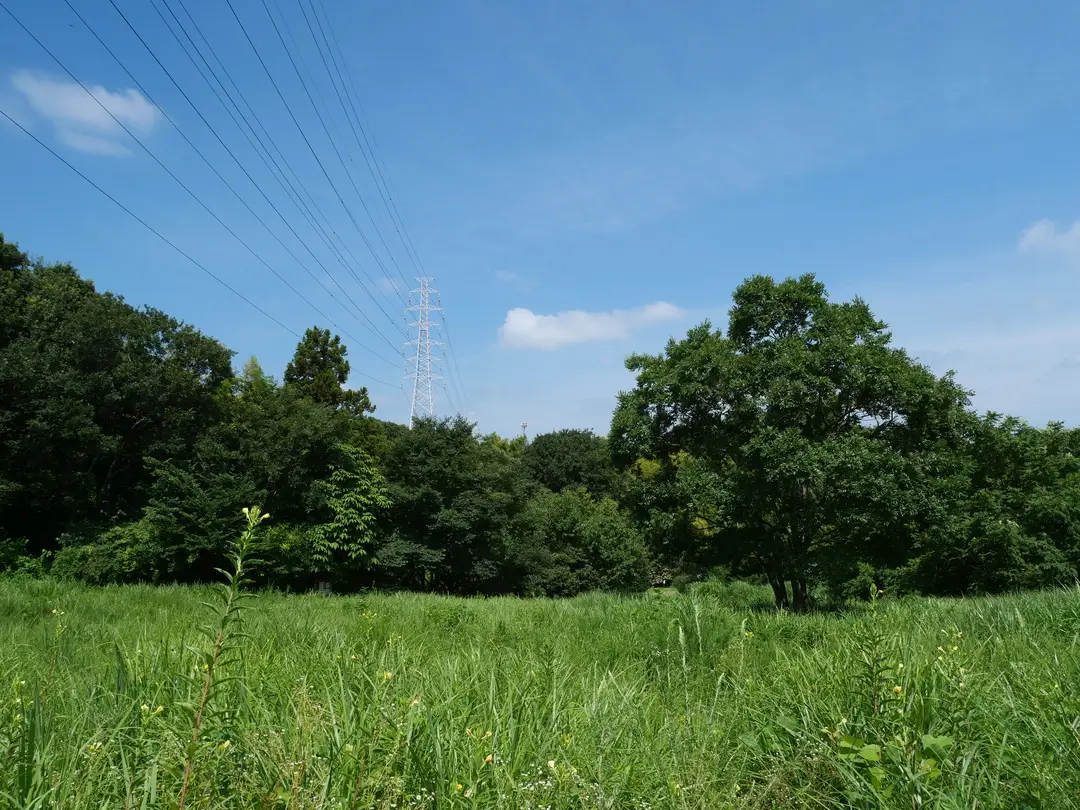 写真No.4