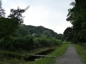 写真No.8