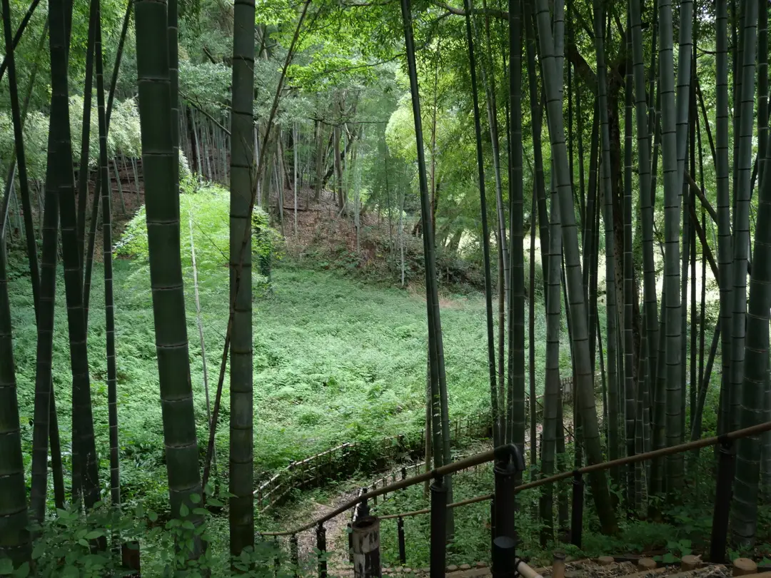 写真No.3