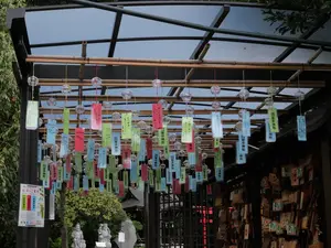 写真No.7