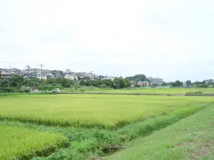 写真No.2