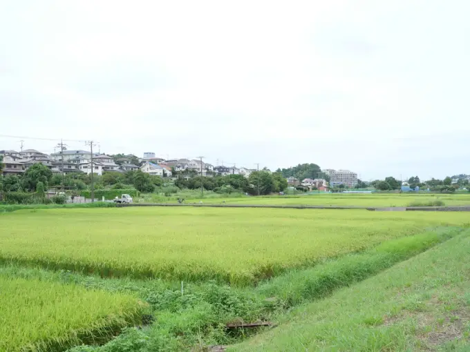 写真No.2
