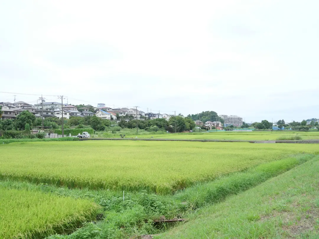 写真No.2