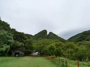 写真No.3