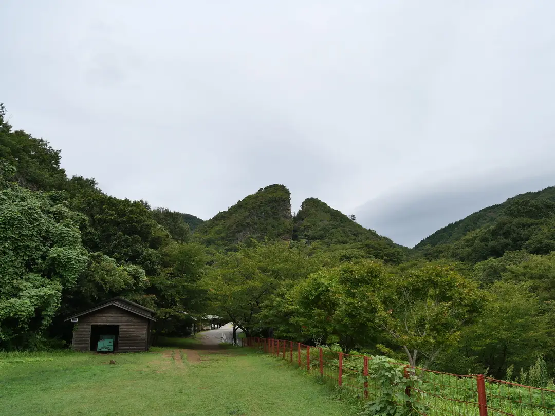 写真No.3