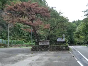 写真No.5