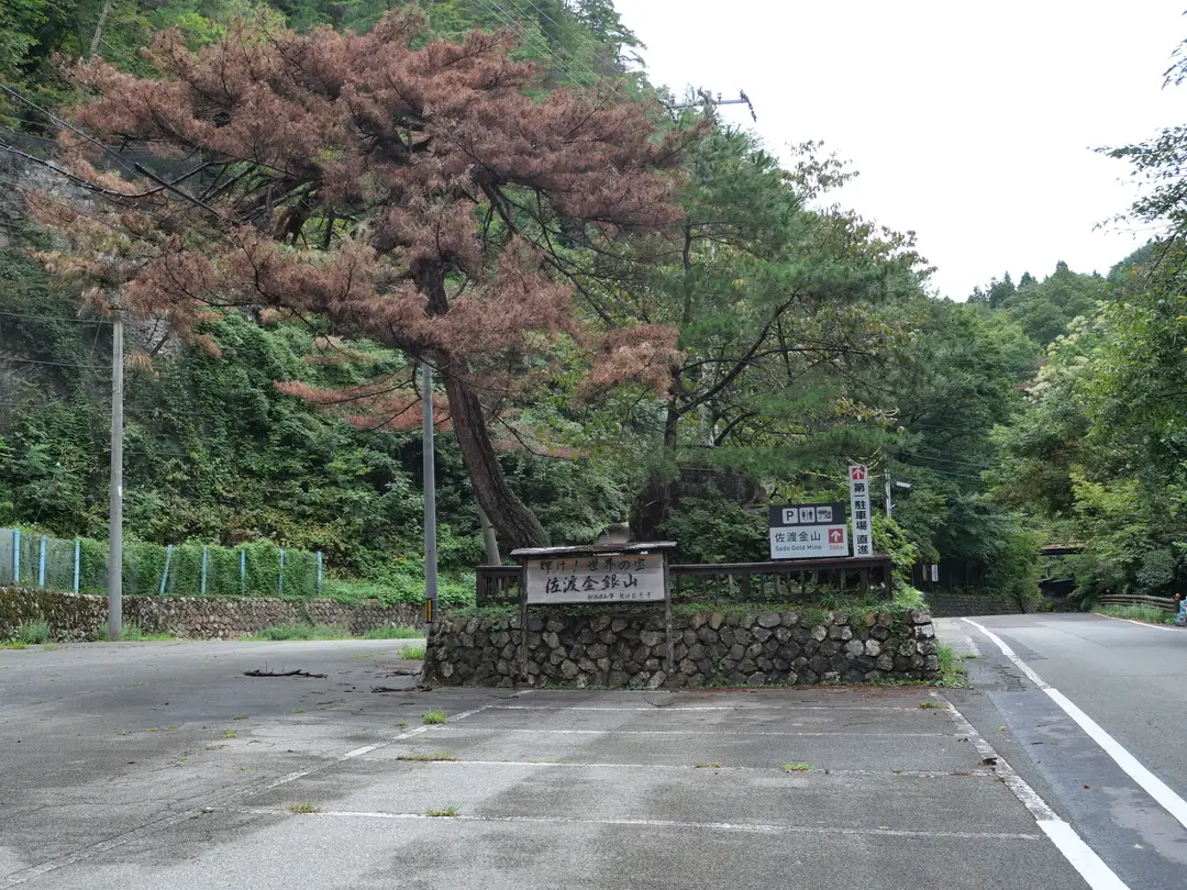 写真No.5