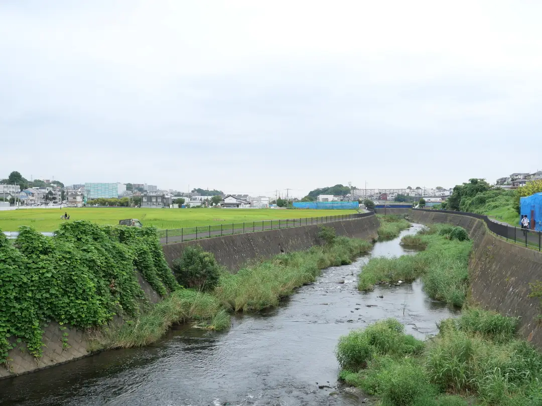 写真No.3