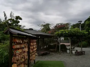 写真No.8