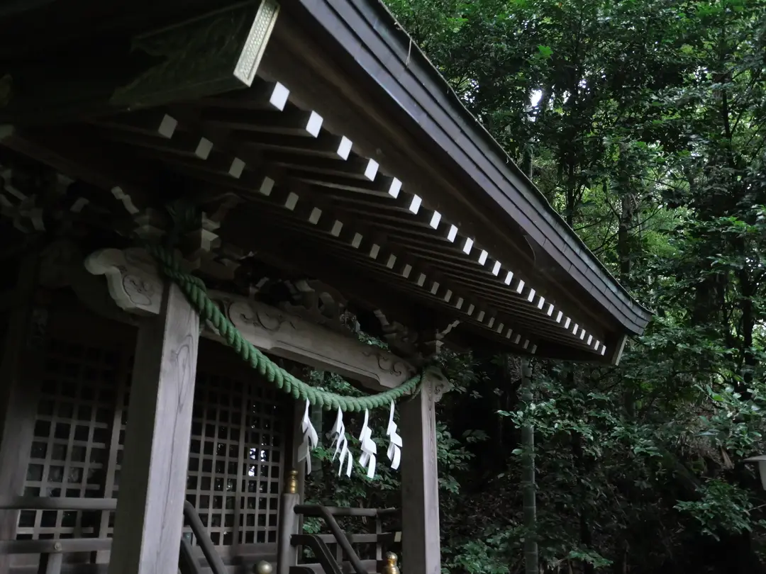 写真No.12