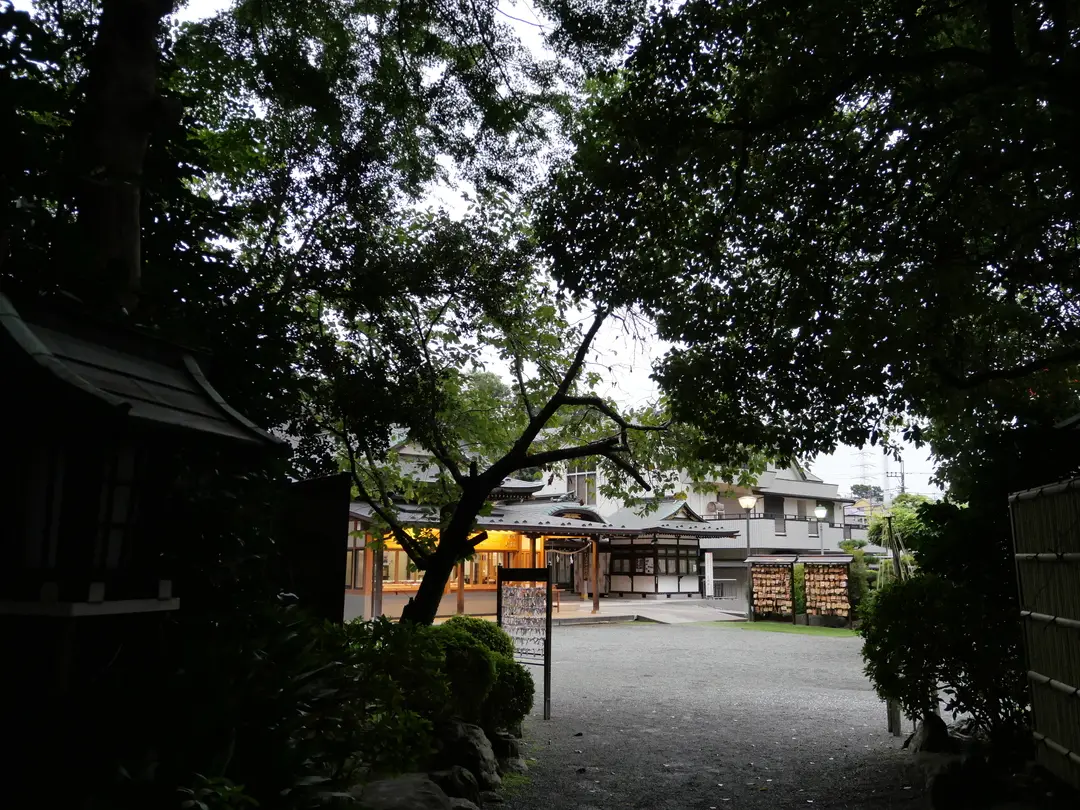 写真No.13