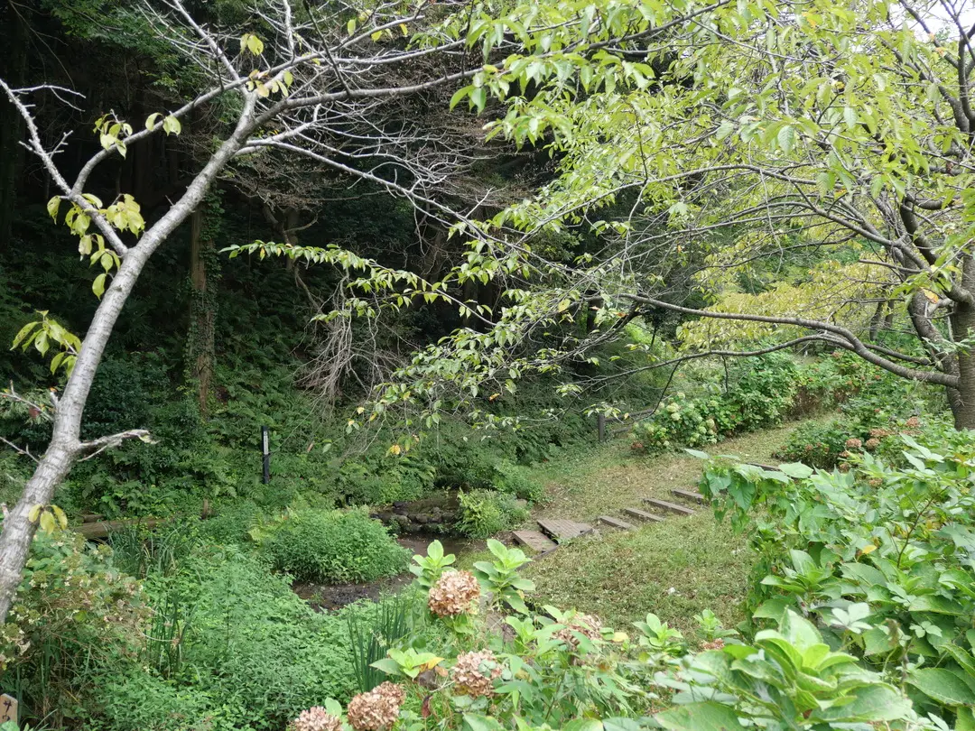 写真No.15