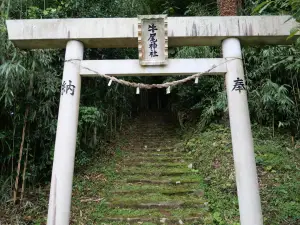 写真No.1