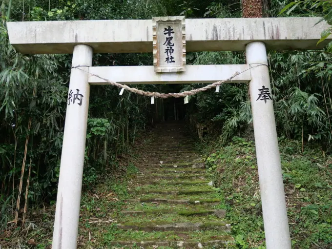 写真No.1