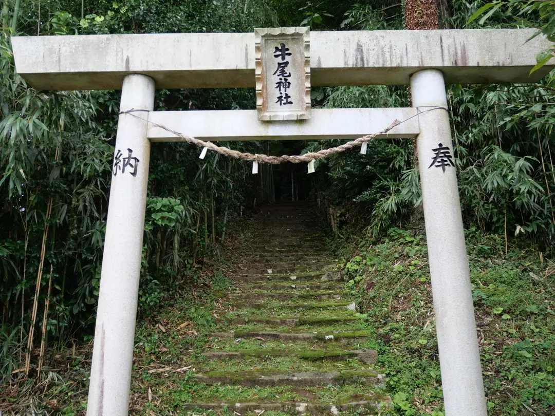 写真No.1
