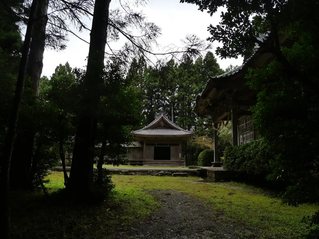 写真No.4