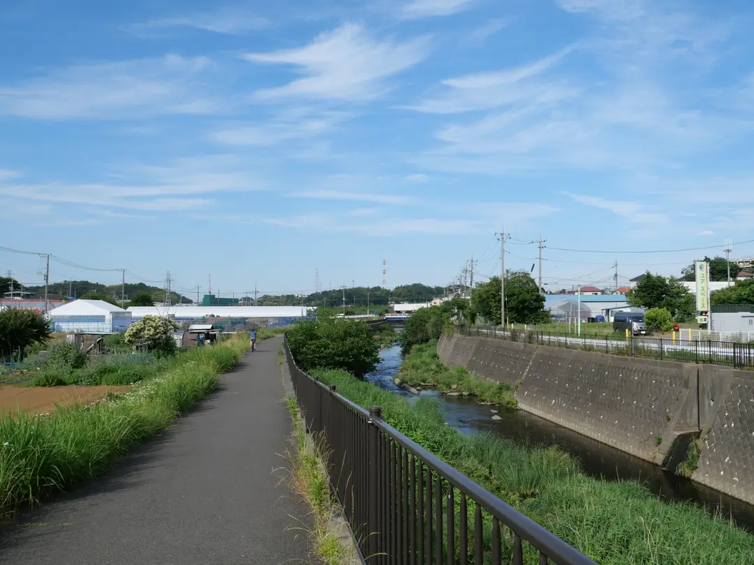 写真No.1