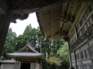 写真No.10