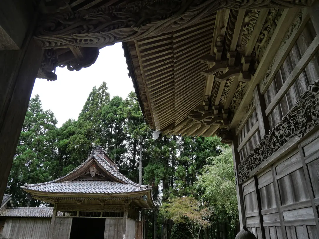 写真No.10