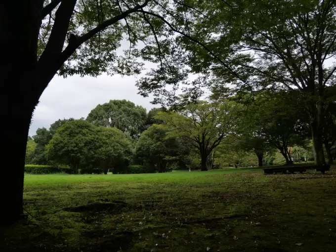 写真No.4