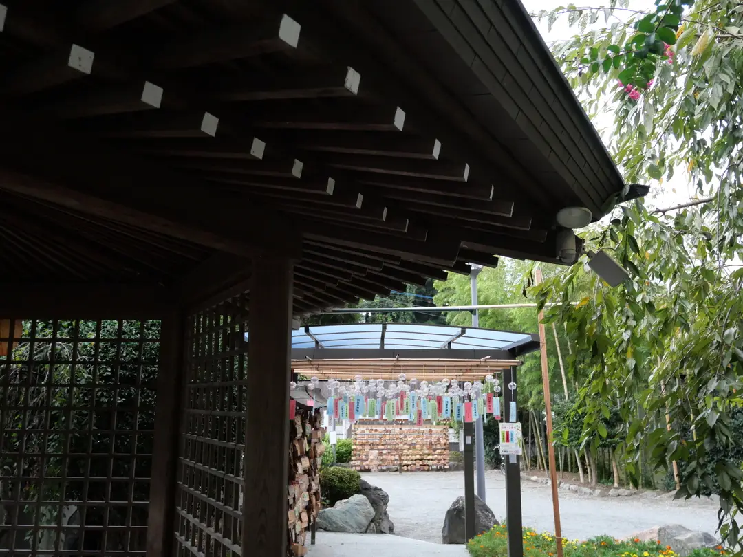 写真No.11