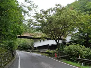写真No.6