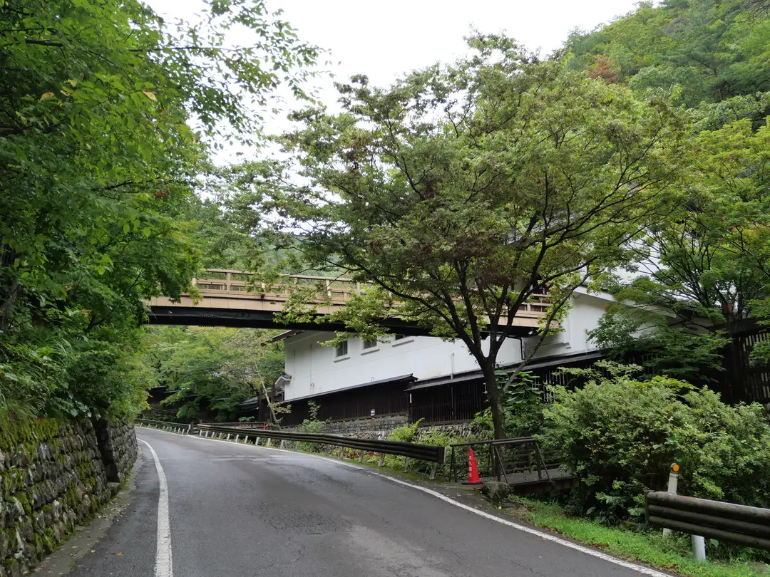 写真No.6