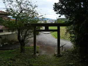 写真No.14