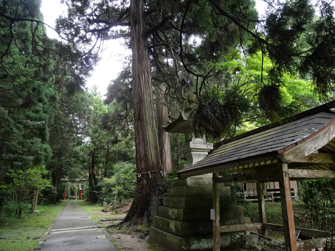 写真No.9