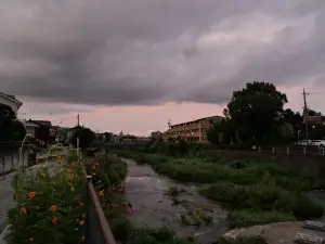 写真No.1