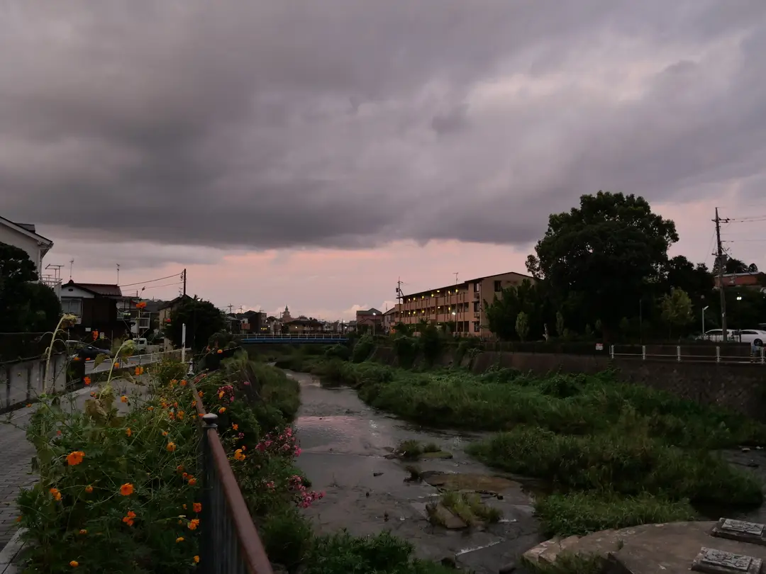 写真No.1