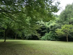 写真No.10